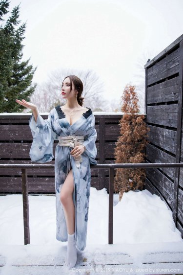 傲雪梅枪